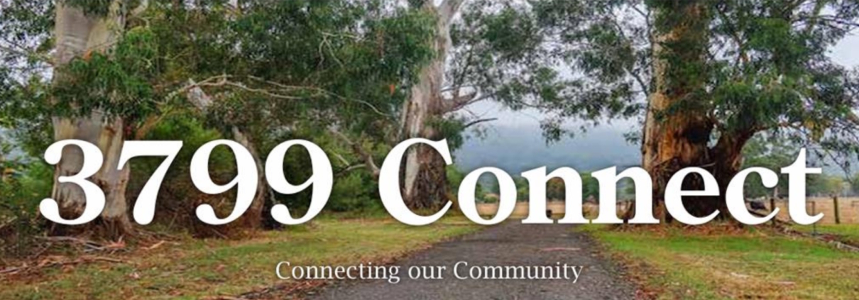 3799 Connect Banner